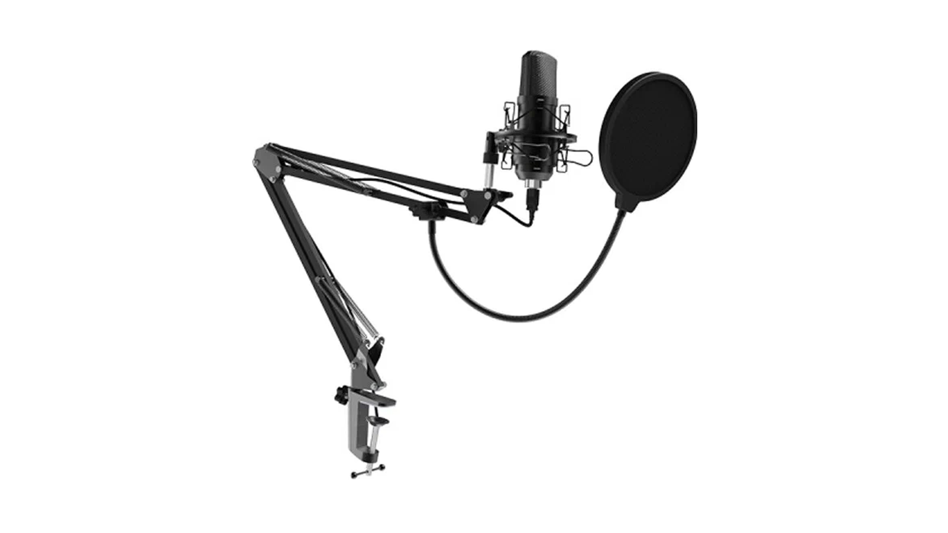 Микрофон RITMIX RDM-169 Black